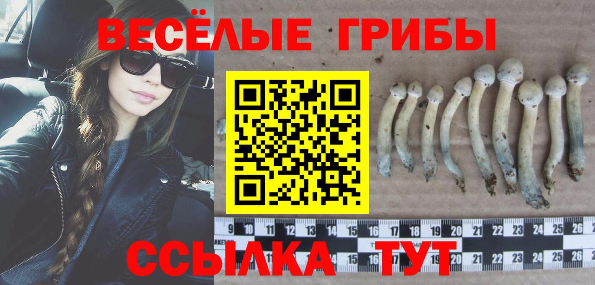 Псилоцибиновые грибы MAGIC MUSHROOMS Белорецк